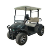 Elektro-Golf-Jagd-Buggy-Auto, 14-Zoll-Reifen, Karosserie aus Aluminiumlegierung, 2-Sitzer-Wagen