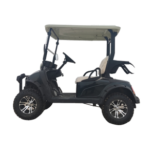 Elektro-Golf-Jagd-Buggy-Auto, 14-Zoll-Reifen, Karosserie aus Aluminiumlegierung, 2-Sitzer-Wagen