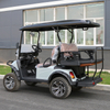 Brandneuer, leistungsstarker 4-Rad-Elektro-Golf-Buggy-Wagen für Clubautos