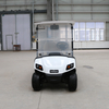 2-Sitzer Golf Club Car Buggy Golf mit LED-Armaturenbrett