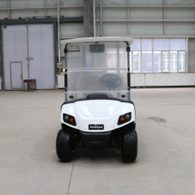 2-Sitzer Golf Club Car Buggy Golf mit LED-Armaturenbrett