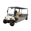 Elektrischer Golfbuggy, elektrischer Golfwagen mit Kippbett